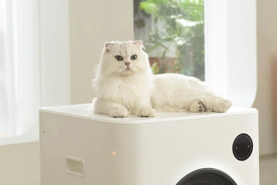 scoopfree litterbox